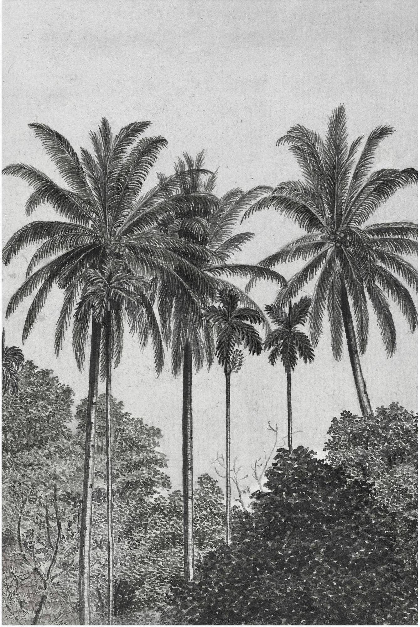 Papel pintado Palms de Westwing