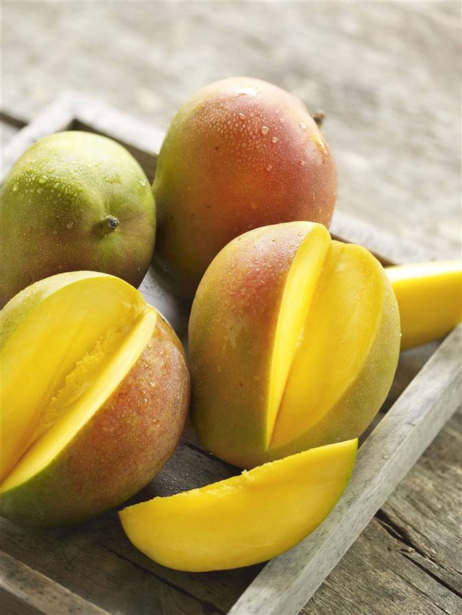 Cómo plantar mango en casa: tu guía práctica 