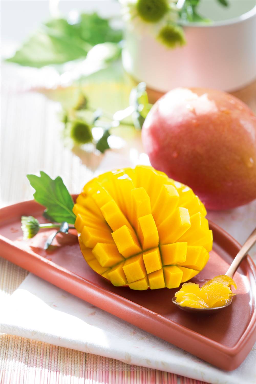 Beneficios del mango 