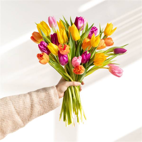 Flores de Colvin de mayo: ¡llena tu casa de color!