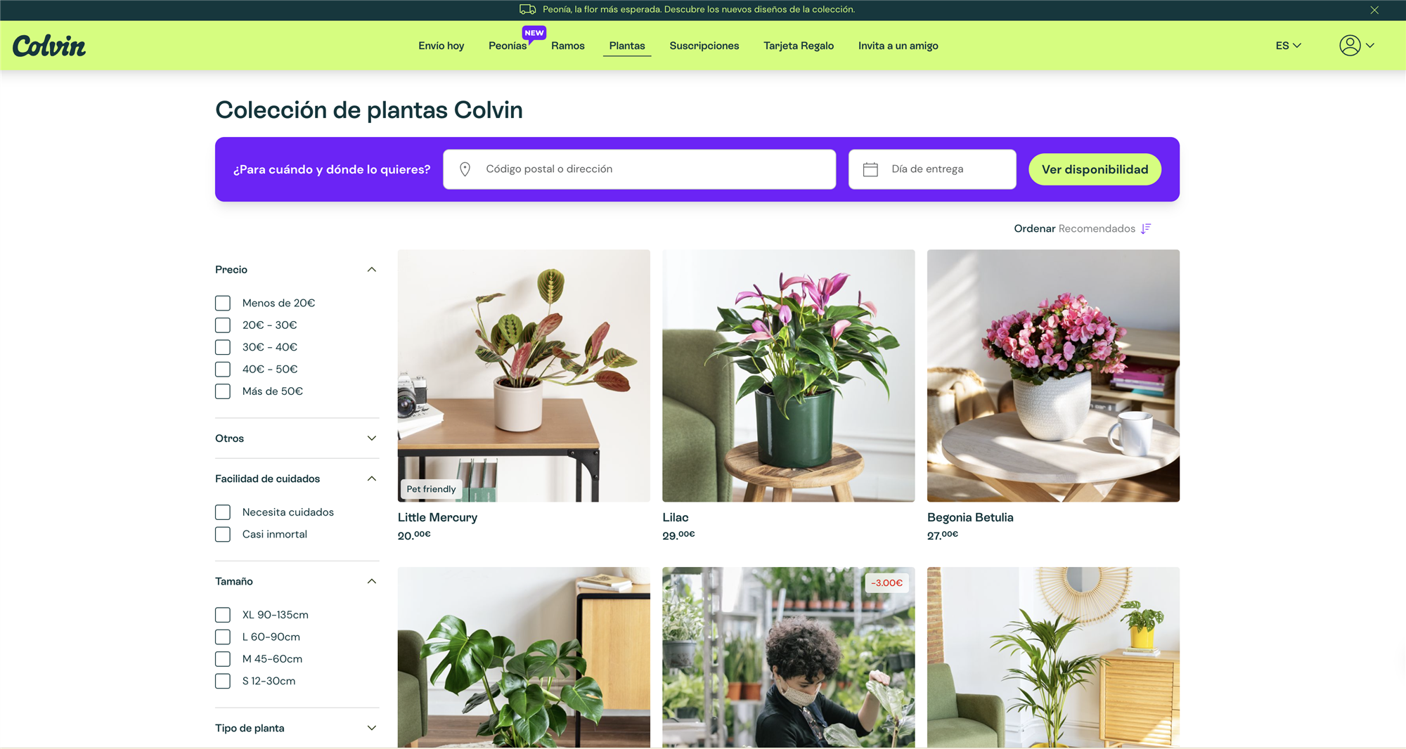 Dónde comprar plantas online: Colvin. 
