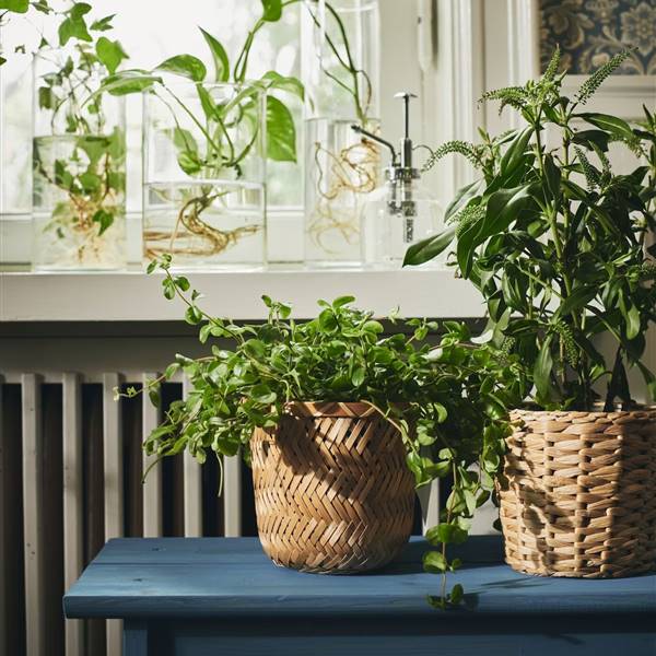 Plantas y jardinería en IKEA: todo lo que NO te puede faltar