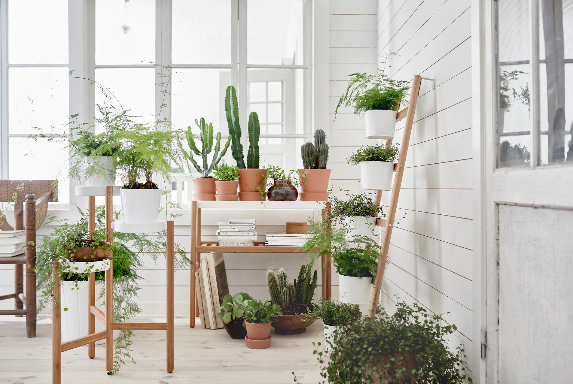 Artículos de jardinería de IKEA: soporte para plantas SATSUMAS. 