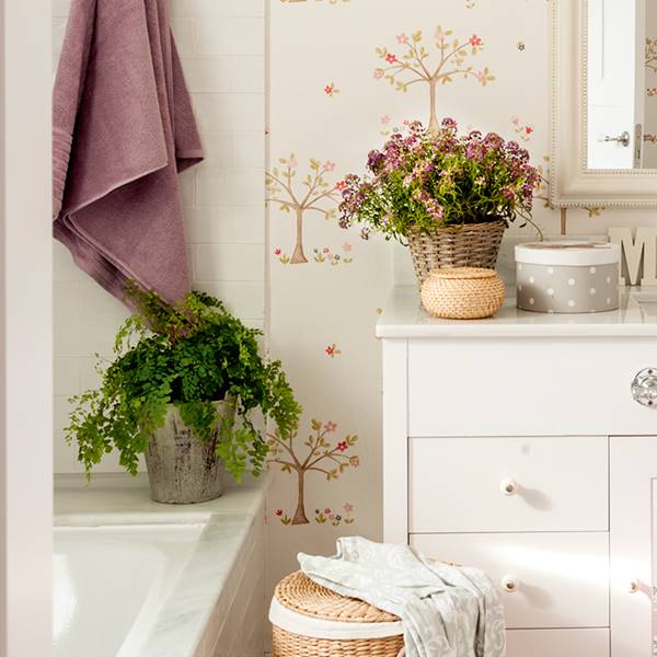 6 plantas que debes colocar en el baño para evitar que haya humedad y moho