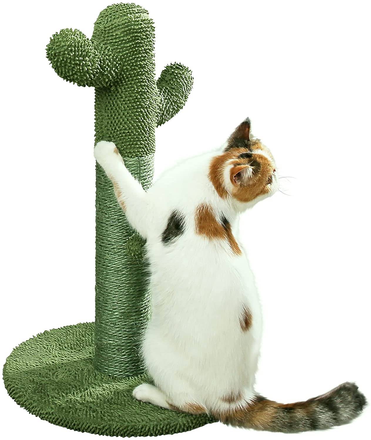 Rascador para gatos con forma de cactus de Amazon