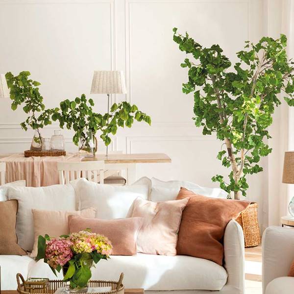 Salón blanco con plantas