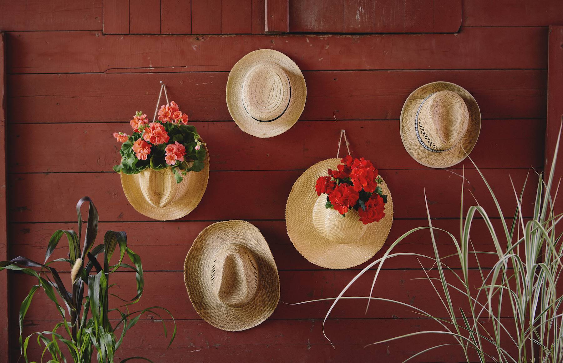 por ciento Dialecto Persuasión Cómo decorar la pared con sombreros de paja y geranios. ¡Una apuesta ideal  para este verano!