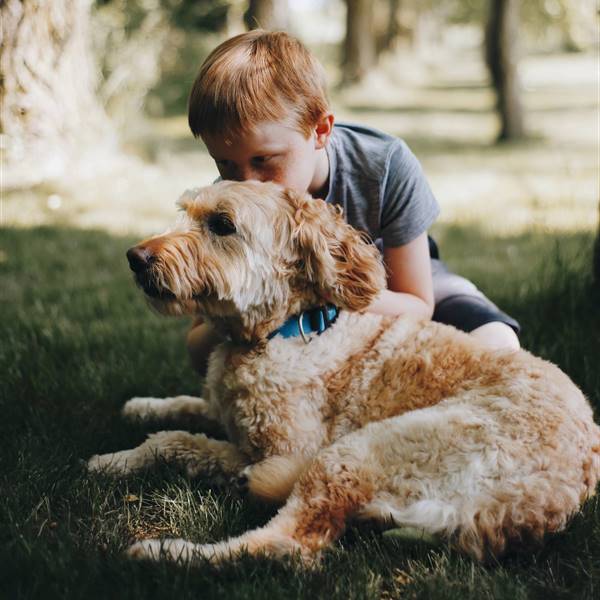 Mascotas para niños: los 6 mejores animales de compañía y cómo cuidarlos