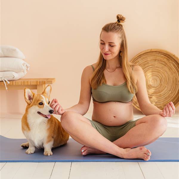 El yoga para perros existe, se llama DOGA y es tendencia