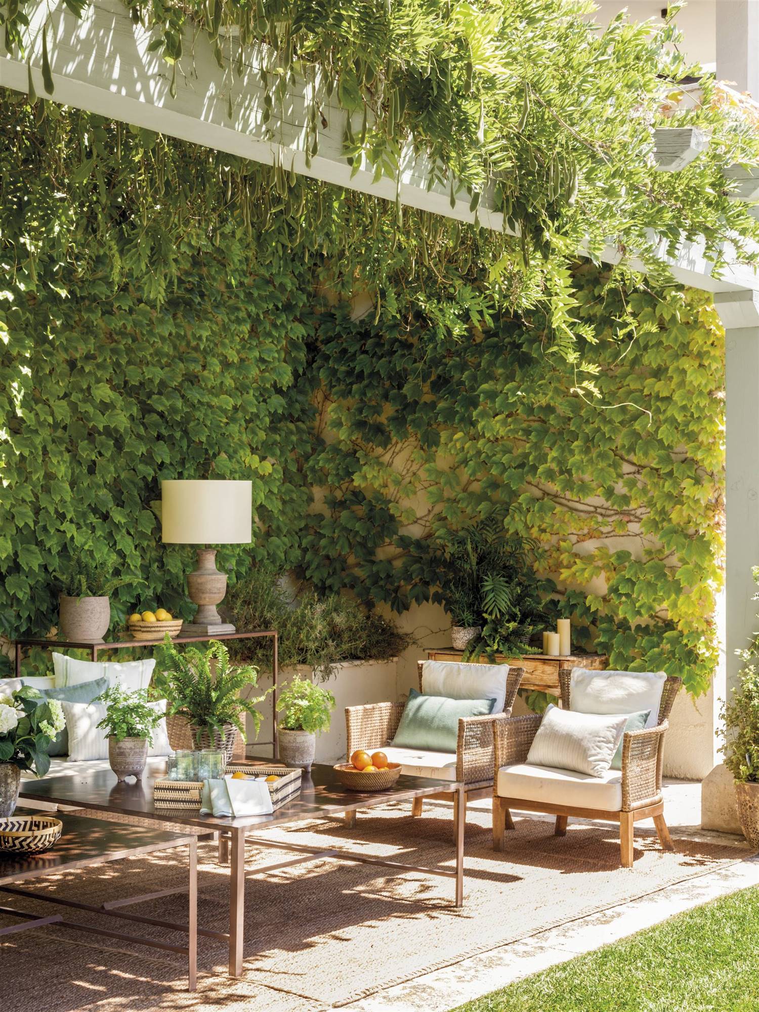 Terraza con jardín con hiedra en la pared, muebles de ratan y alfombra de fibras. 