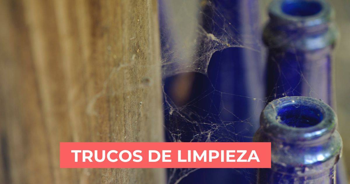 How to clean (and how to prevent) spider webs from air and walls.  Goodbye to arachnophobia!
