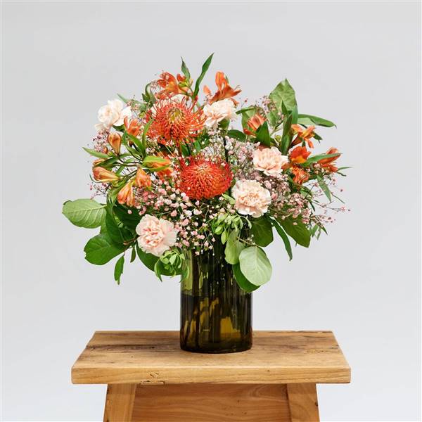 Llena tu casa de color este mes de agosto con las flores de Colvin más duraderas para verano. ¡Te encantarán! (Con shopping)