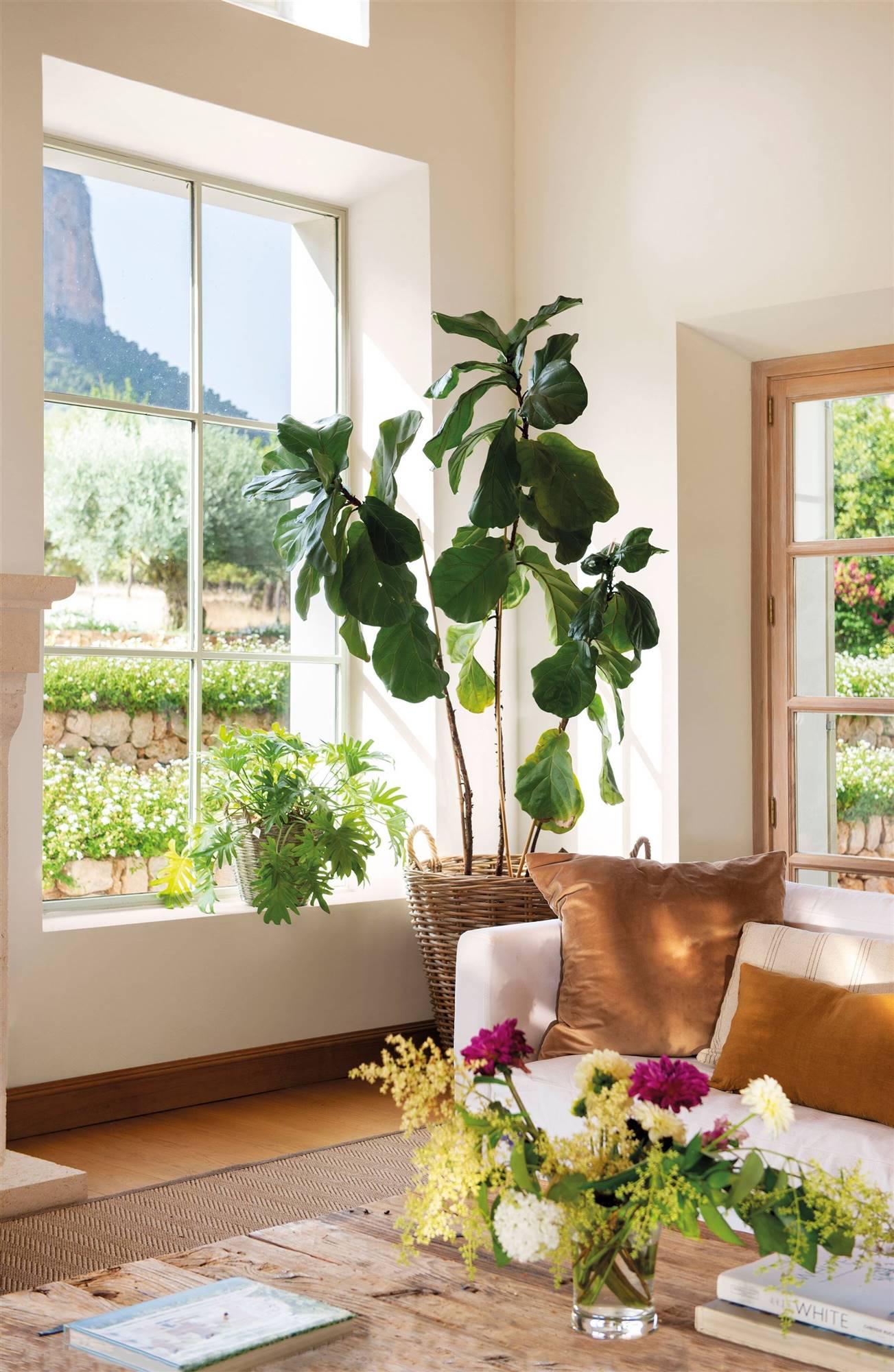 Salón con ventanal, plantas y macetas estilo cestas de fibras naturales. 