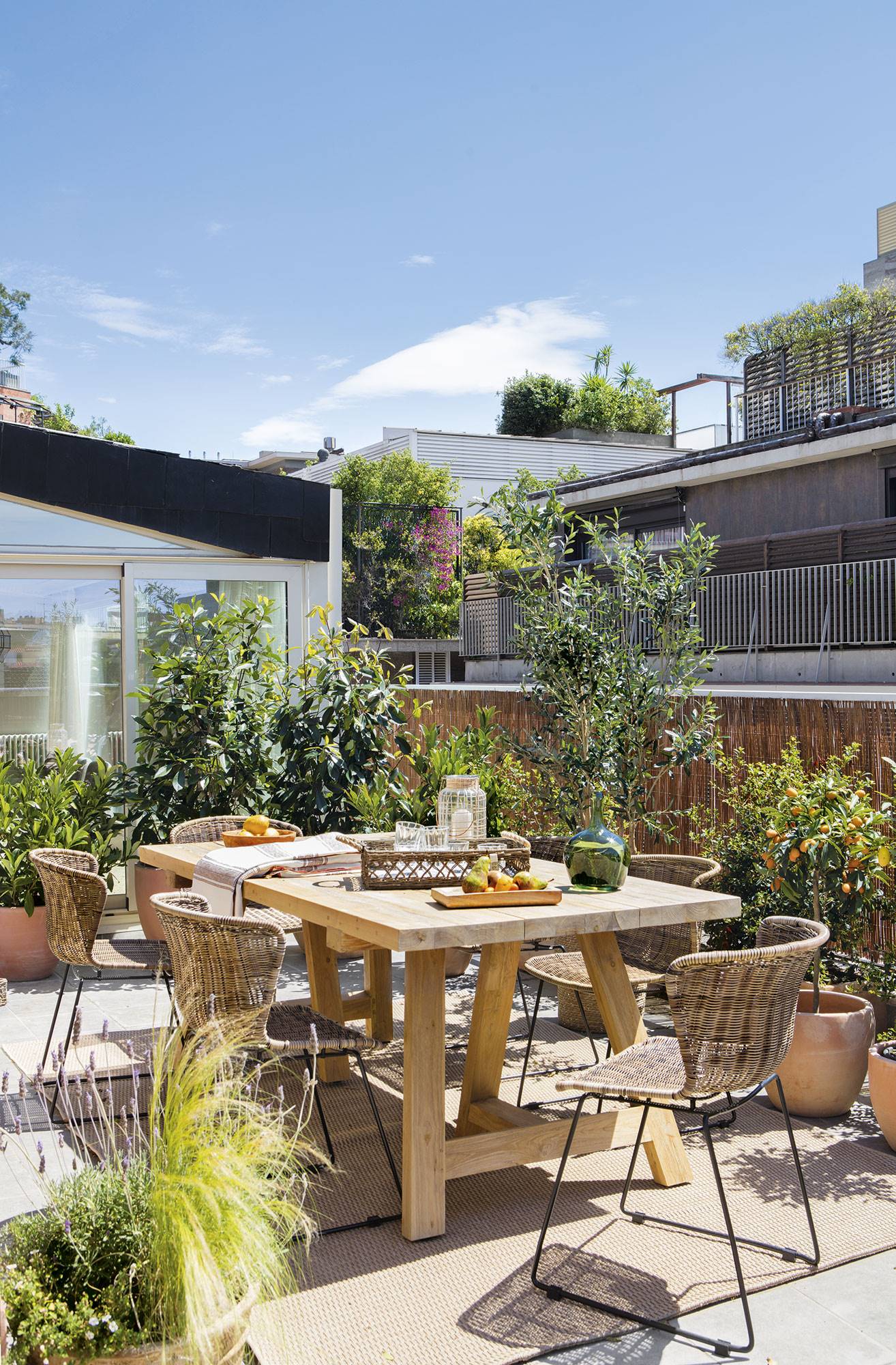 Terraza con comedor exterior con mesa de madera, sillas de fibras y plantas de exterior. 