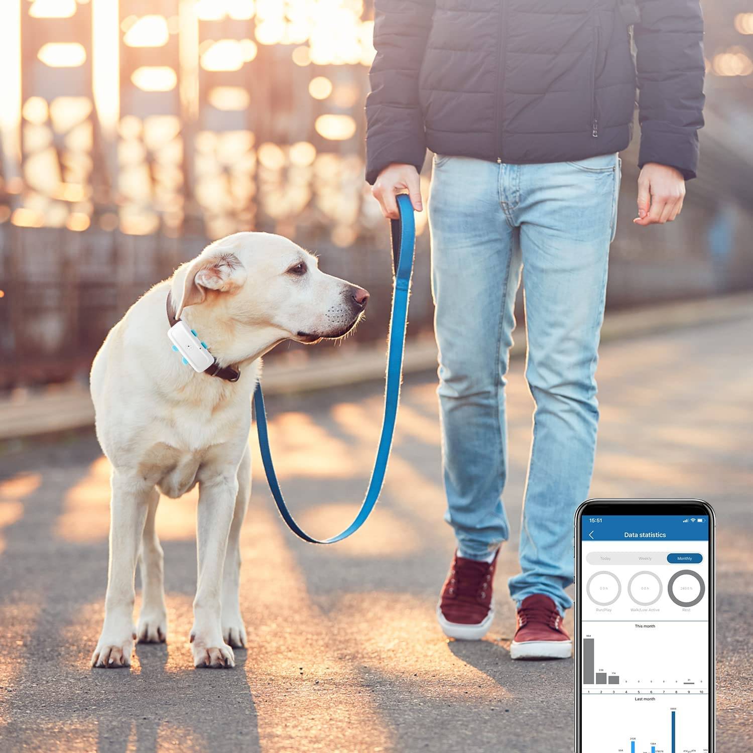 Collar GPS para perros de Amazon.