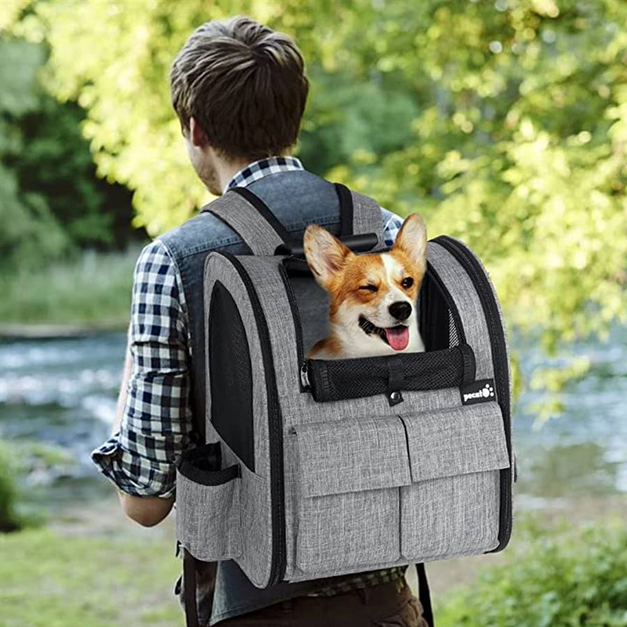 solo lecho paquete Así es la mochila con ruedas para mascotas más vendida de Amazon