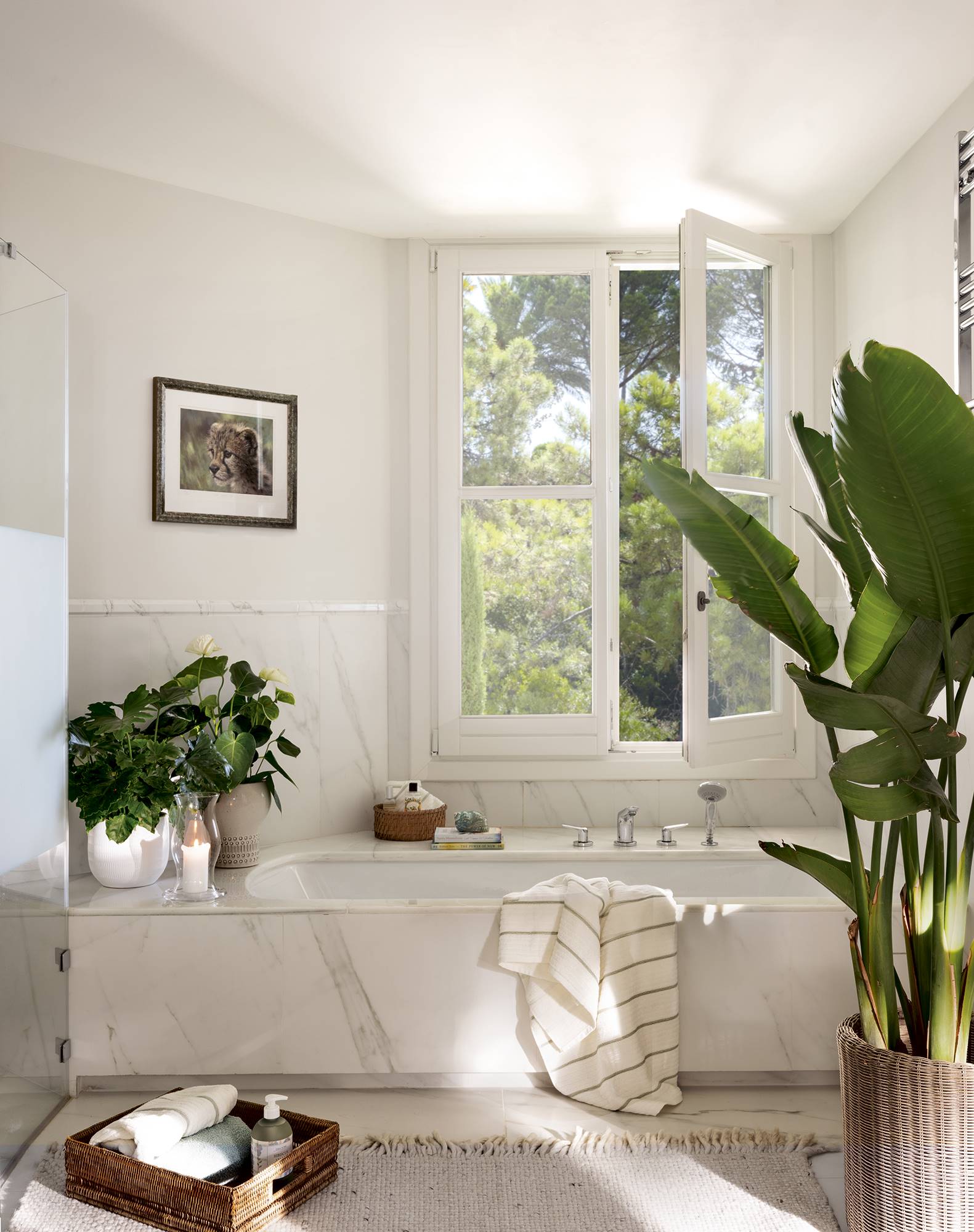 Baño con bañera revestida de mármol, plantas de interior y ventana. 