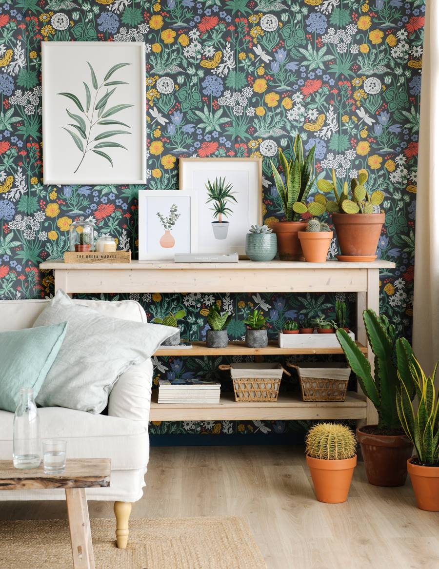Salón con estantería, plantas y cuadros de cactus.