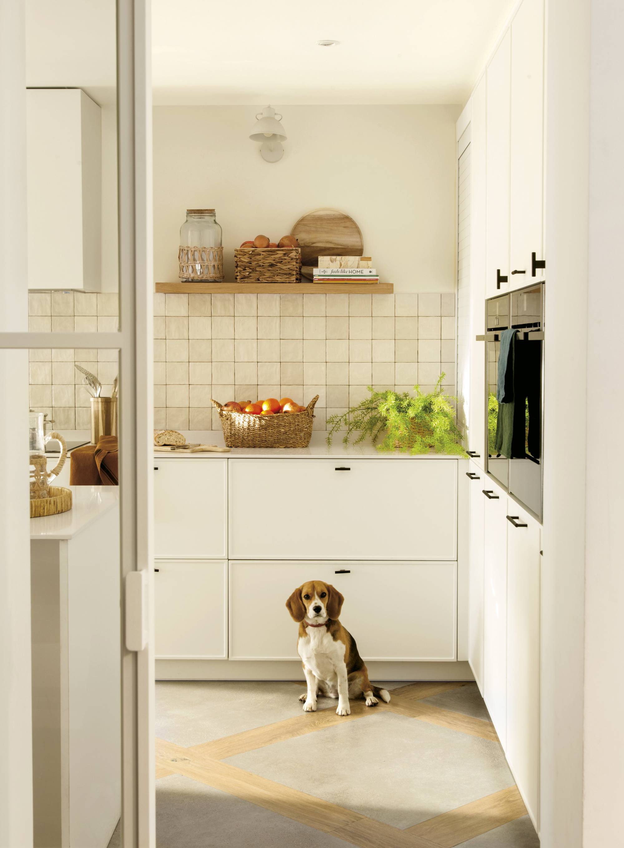 Cocina blanca con antepecho de azulejos y perro.