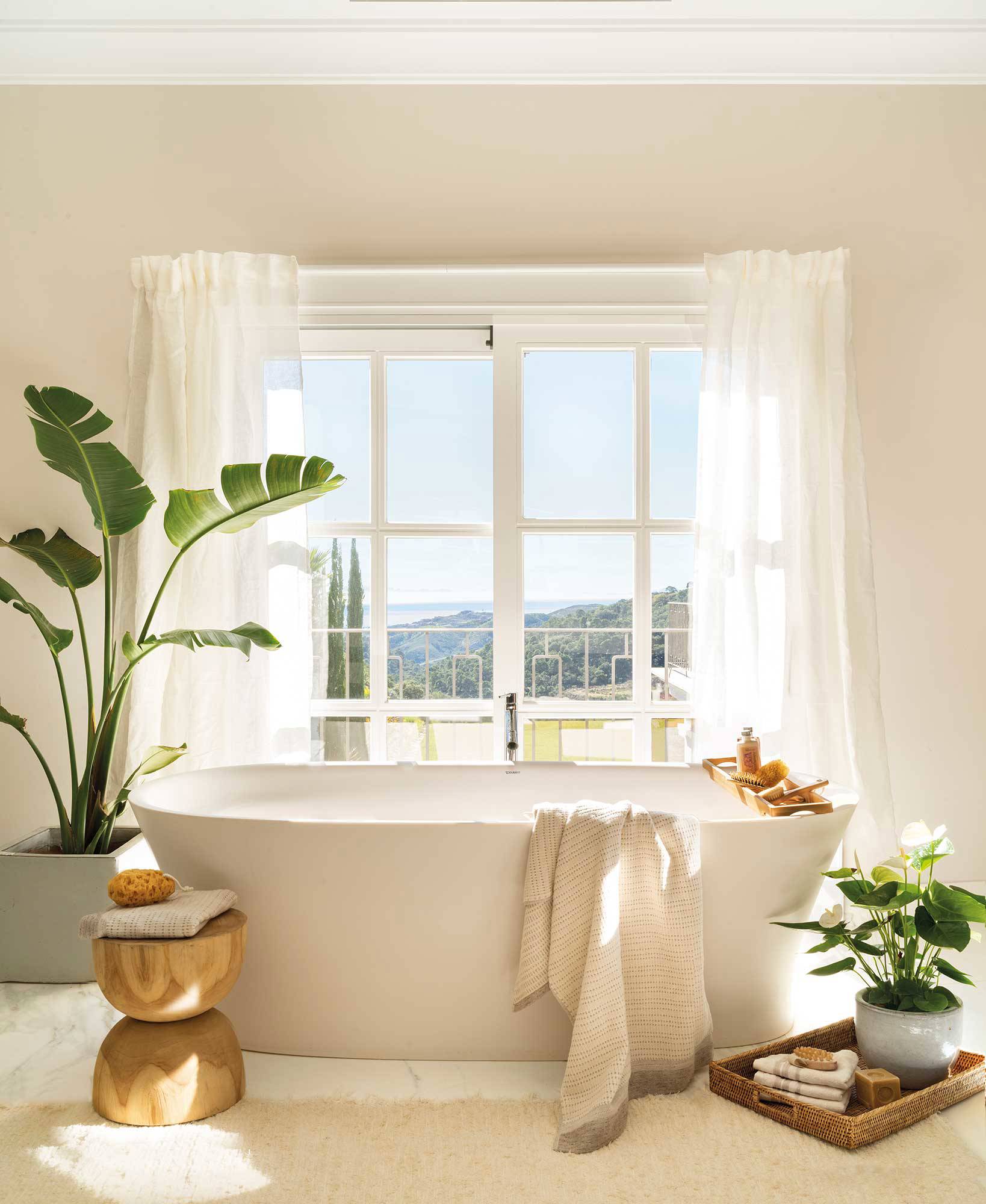 Entrégate al lujo con plantas de interior junto a la bañera
