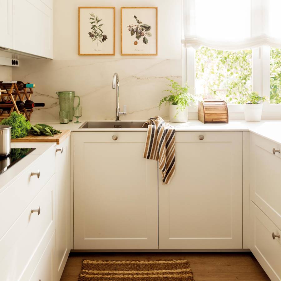 Los pequeños electrodomésticos de cocina son tendencia – Revista Para Ti