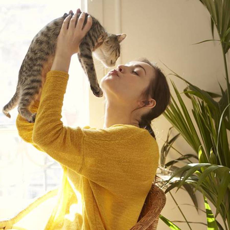 50 frases de gatos y dueños que inspirarán y alegrarán tu día