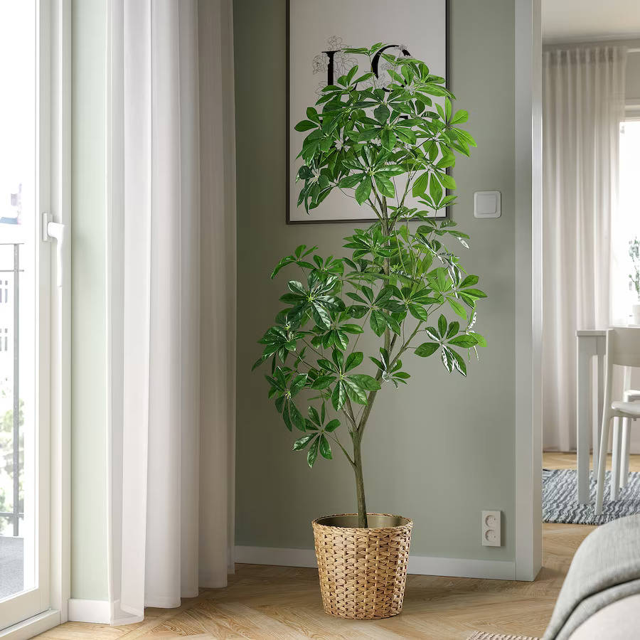 plantas artificiales IKEA Schefflera arboricola