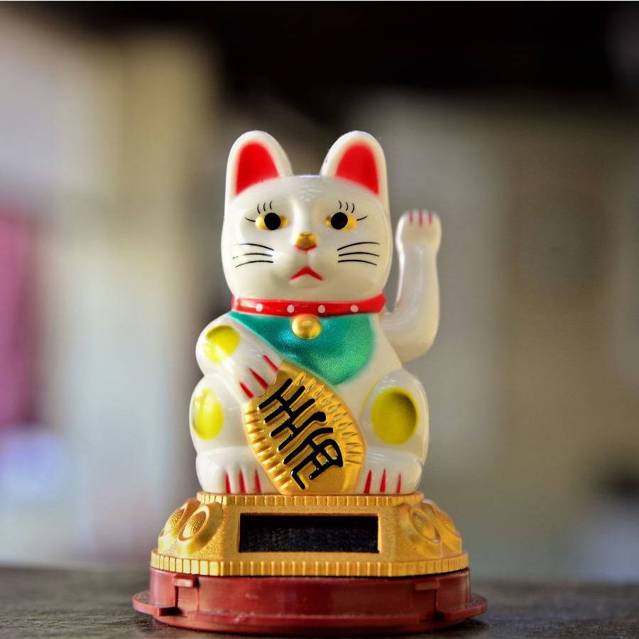 ▷ Gato chino de la suerte: Todo lo que necesitas saber