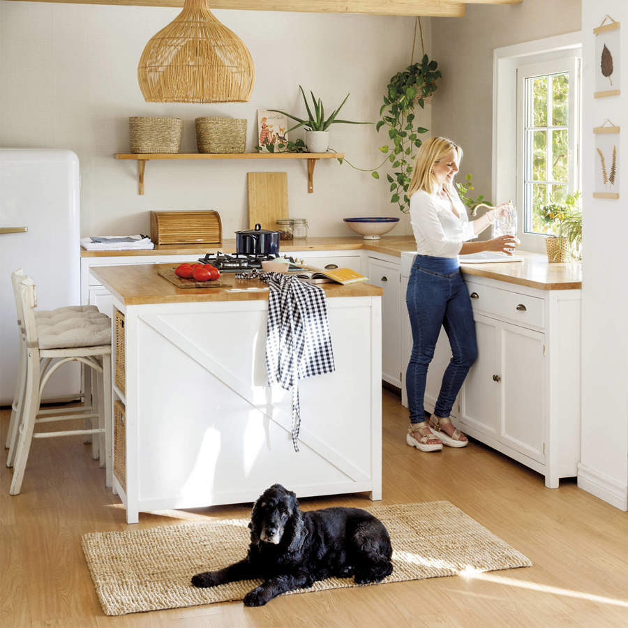 Cocina con alfombra y un perro