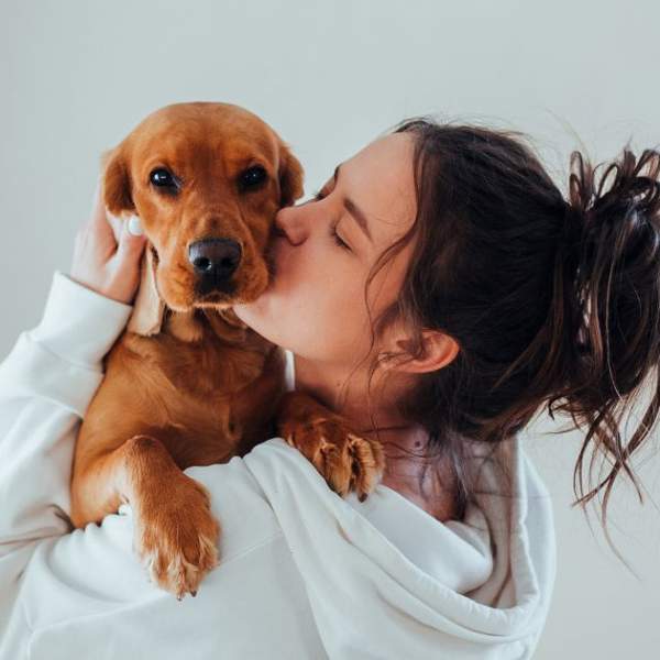 Esta raza de perro considerada "adorable" es la más agresiva según un reciente estudio (incluso más que un rottweiler)  