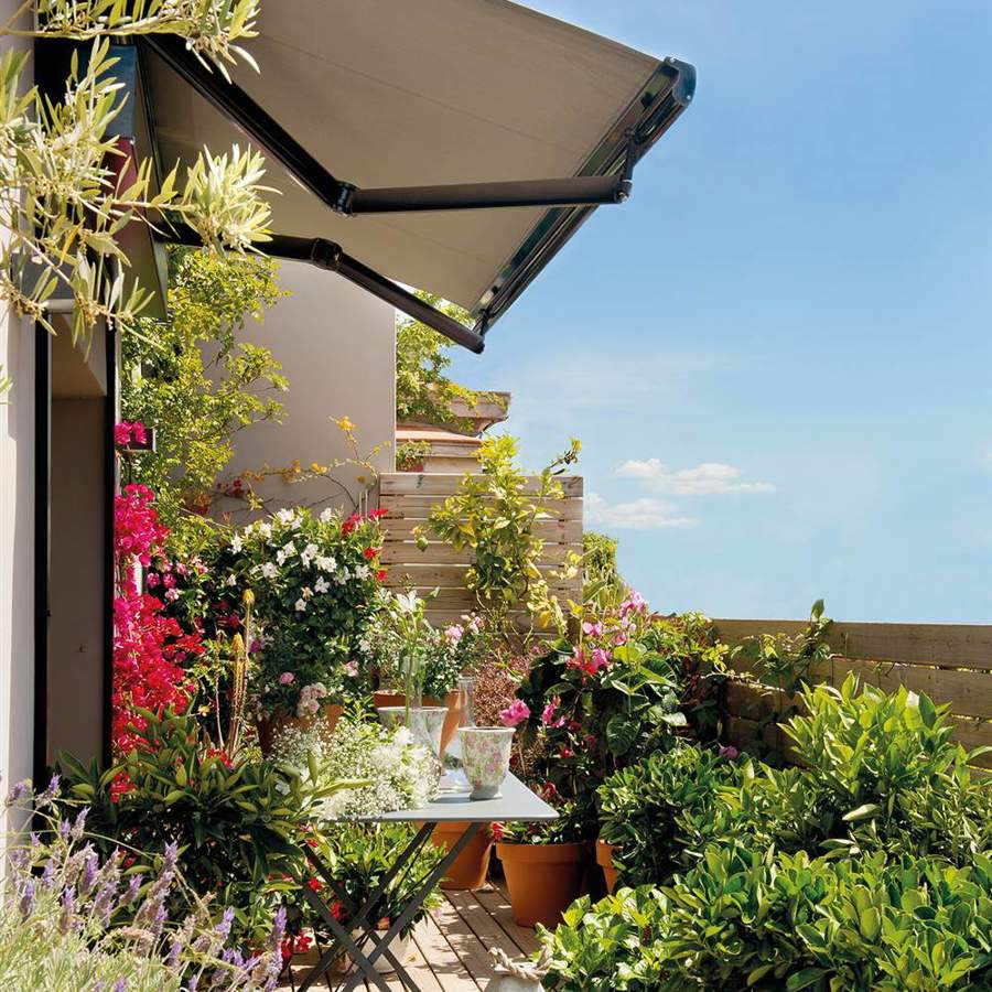 Descubre los toldos baratos de  y LIDL que se instalan SIN TALADRO y  son la mejor solución para tu terraza o balcón este verano