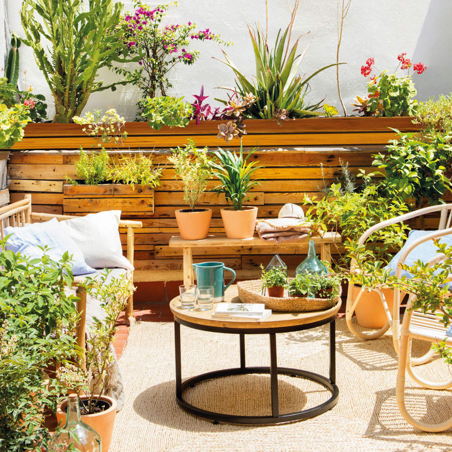 La jardinera con ruedas de Lidl perfecta para decorar jardines, terrazas y  balcones. ¡Podrás mover tus plantas sin esfuerzo!