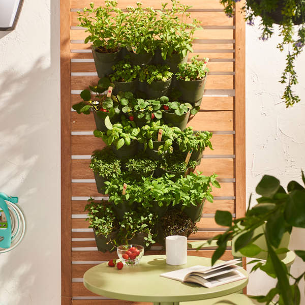 Huerto vertical: cómo construirlo, cuidados, ideas y beneficios para tener un rincón verde en casa