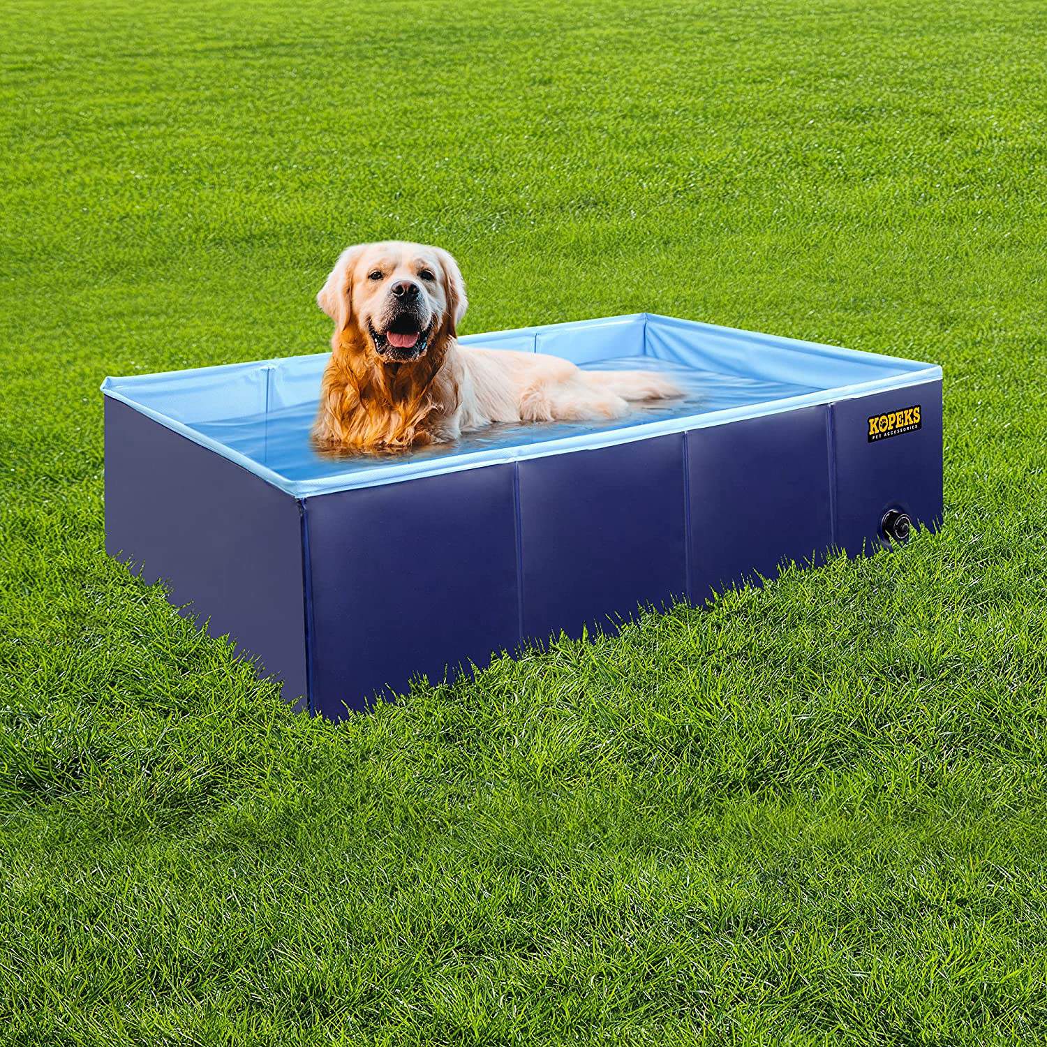 Las mejores piscinas hinchables para perros con aspersor