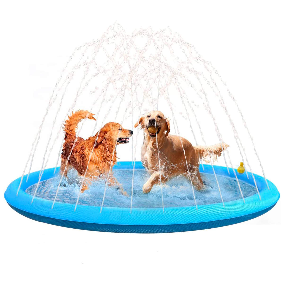 Las 6 mejores piscinas para perros de  y otras tiendas de animales:  ¡las más baratas y resistentes para verano!