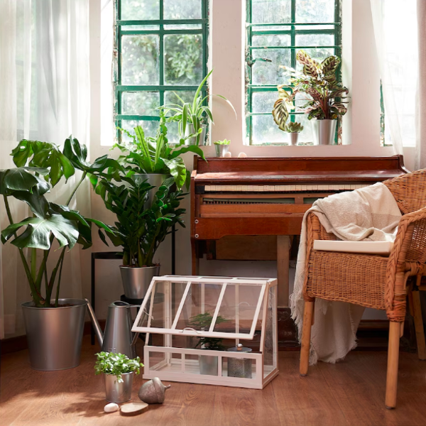 La novedad de IKEA que arrasará entre los amantes de las plantas: un mini invernadero para que tengas en casa tu propio huerto urbano