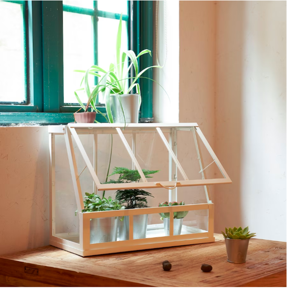 La novedad de IKEA que arrasará entre los amantes de las plantas: un mini  invernadero para que tengas en casa tu propio huerto urbano