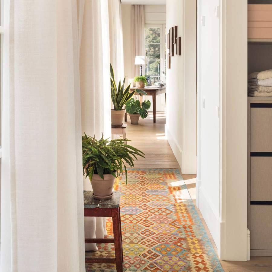7 plantas de interior perfectas para decorar el pasillo y llenarlo de vida.