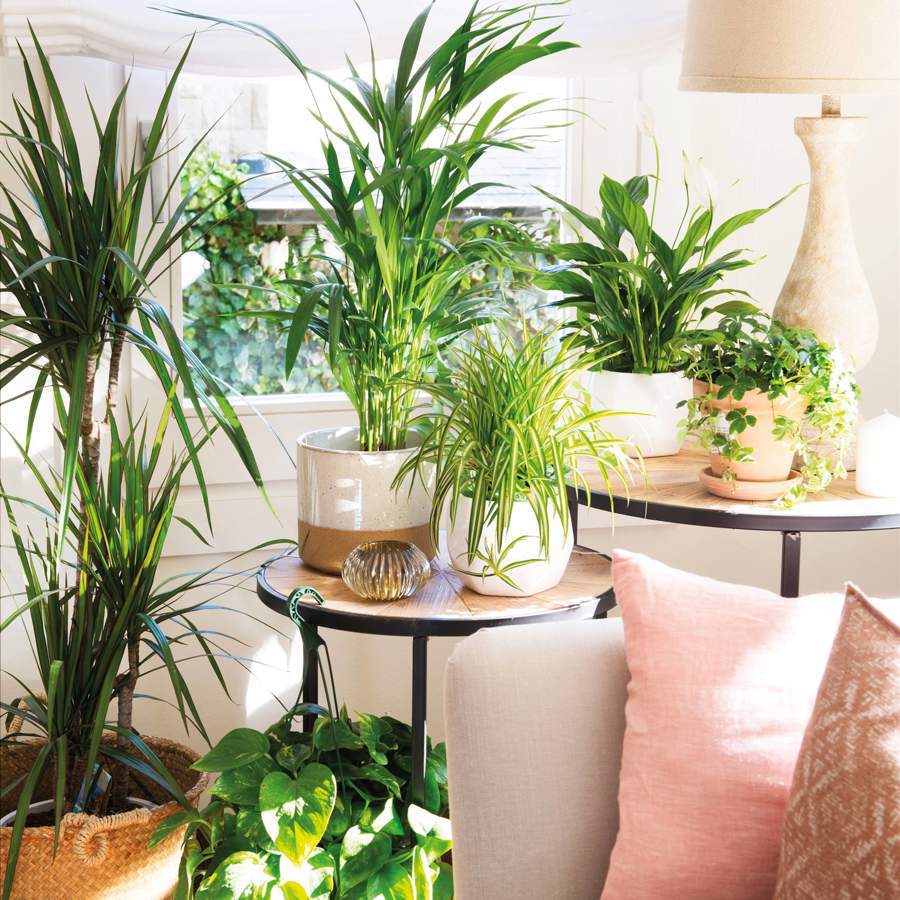12 plantas artificiales para decorar la casa muy realistas