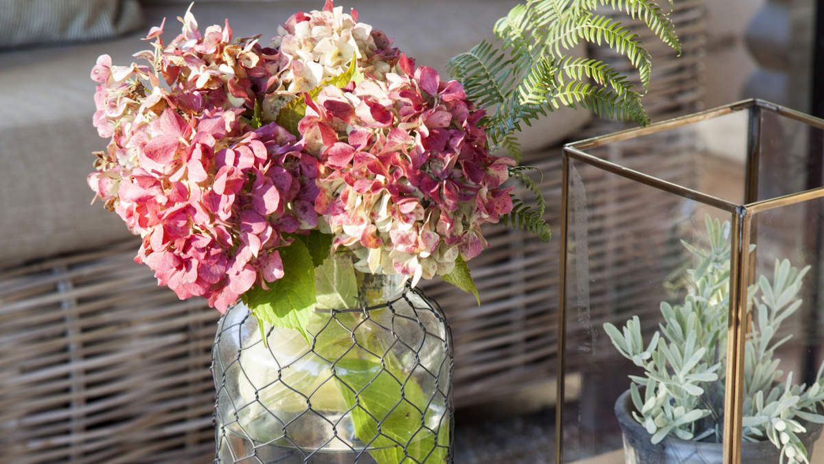 21 plantas y flores de otoño: calidez inmediata en tu hogar con estas bellezas resistentes 