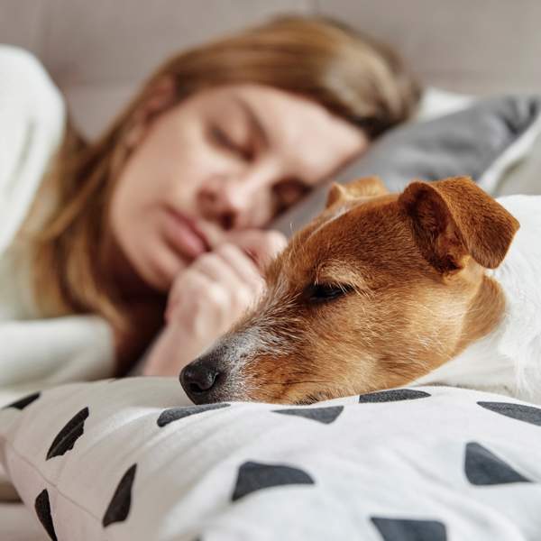 Dormir con tu mascota, ¿sí o no?: estas son las ventajas, desventajas, riesgos y enfermedades