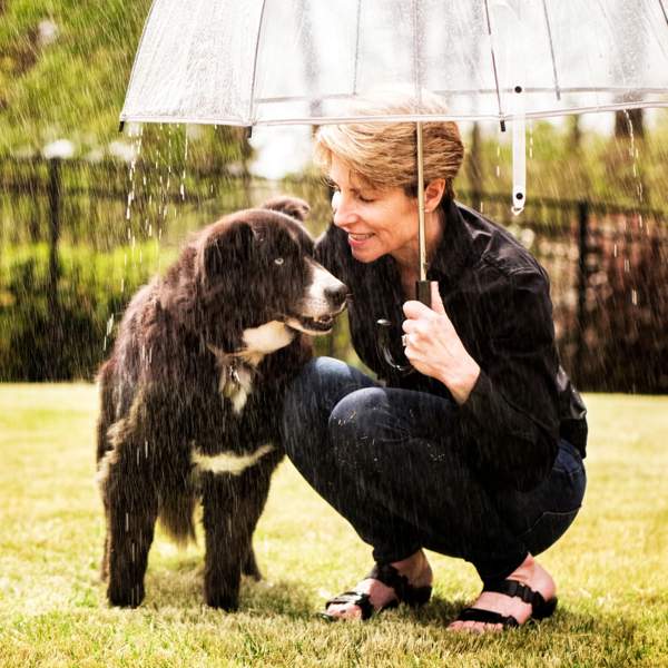 Cómo pasear a tu perro cuando llueve: los mejores consejos a tener en cuenta