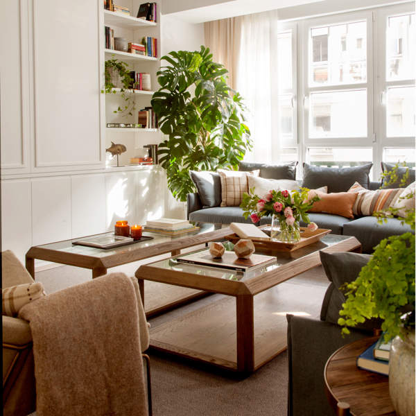 12 ideas para poner las plantas dentro de tu casa con el sello de El Mueble. ¡Aquí hay mucha inspiración!