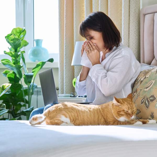 ¿Tienes alergia a los gatos? Estos son los síntomas y te damos remedios caseros para curarla