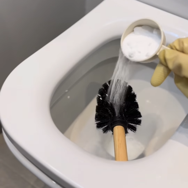 Una experta en limpieza confiesa el truco definitivo para que la escobilla del váter quede limpia y sin gérmenes durante más tiempo