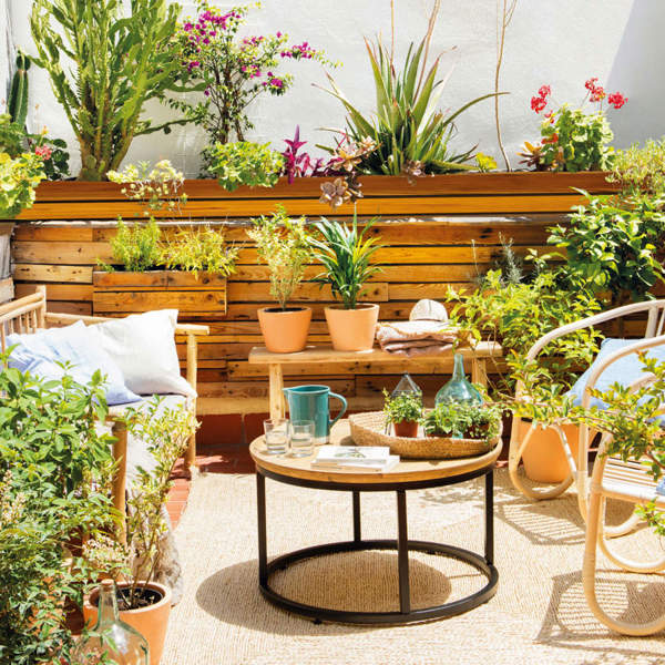 8 plantas grandes que puedes plantar en maceta y decorar con ellas tu terraza o tu balcón antes de que llegue la primavera